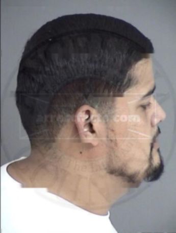 Irving Rosales Soto