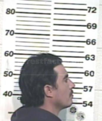 Francisco Ismael Reyes Teran