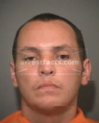 David Michael Palmer