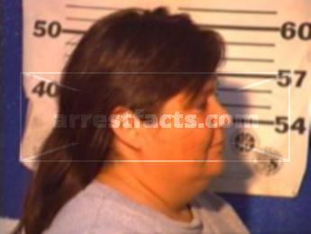 Arlene Mendez Villarreal