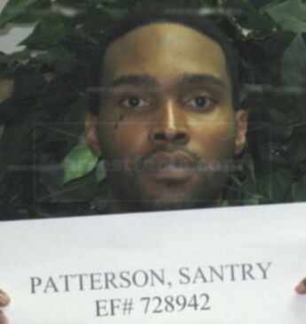 Santry Patterson