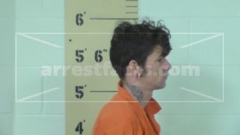 Bryant James Brand