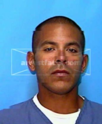 Luis M Silva