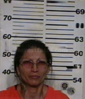 Lydia Ann Cepeda Yarrito Garcia Silvas