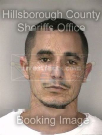 Robert Michael South