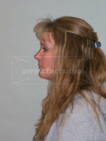 Theresa L Schmidt