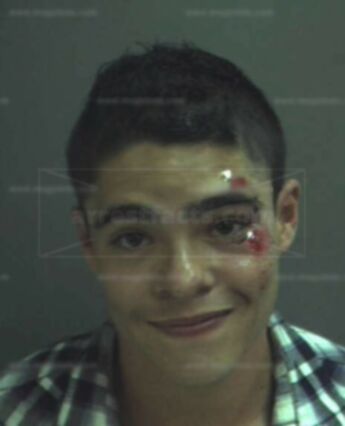 Jose P Lamicq
