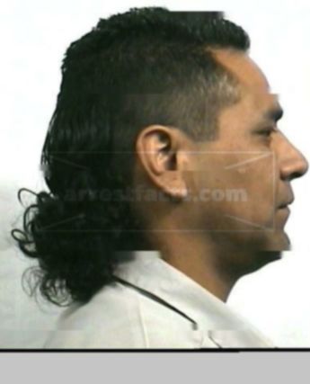 Fernando Flores