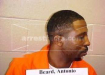 Antonio J Beard