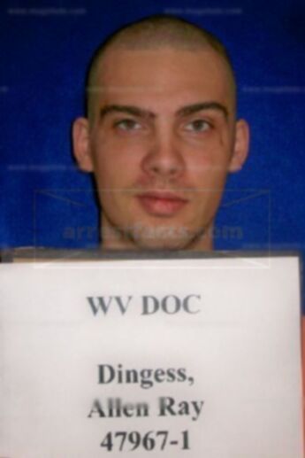 Allen Ray Dingess