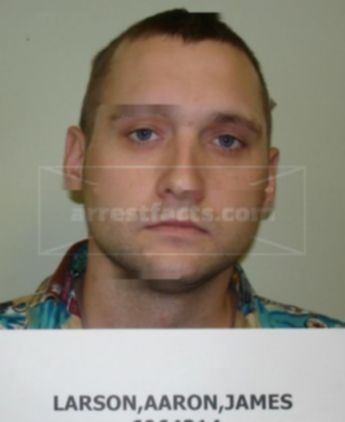 Aaron James Larson