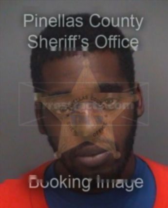 Christopher J Brantley