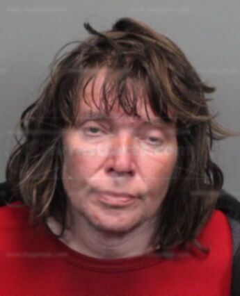 Carol Ann Bishop