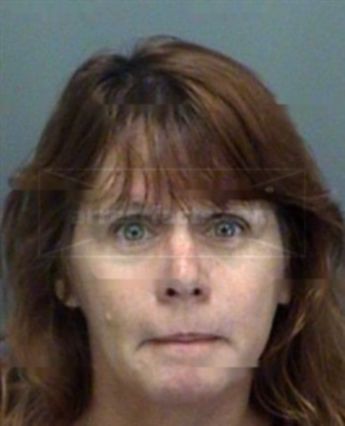 Patricia Anne Hopkins
