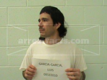 Luis Garcia-Garcia