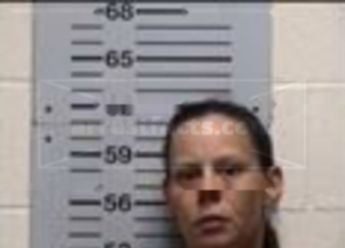 Destry Anne Cook