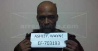Wayne Ashley