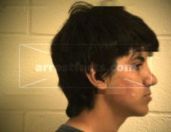 Martin Noah Flores Tovar