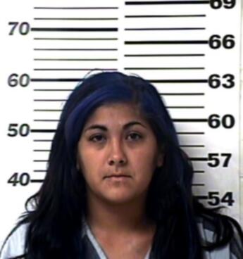 Monica Diane Trevino