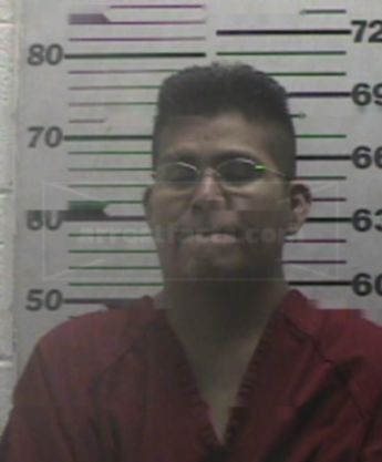 Ricardo Lee Sandman