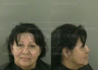 Cypress Linda N.