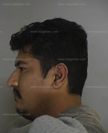 Guadalupe Vernon Sanchez