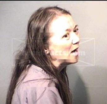 Mary D Briskie
