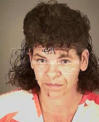 Susan Ann Ververs
