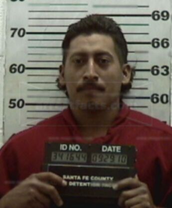 Aparicio Flores-Hernandez
