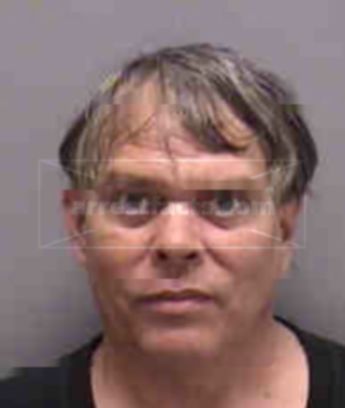 Daniel C Dailey