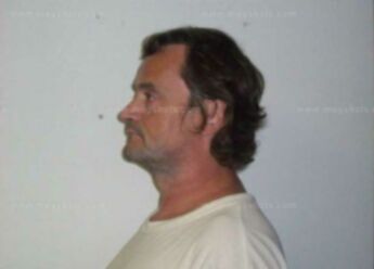 Randall J Vicari