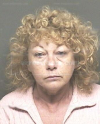 Sue Wade Wilson