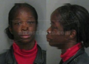 Belinda Ann Jenkins