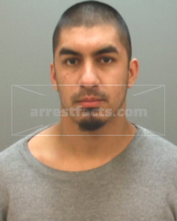 John Ryan-Arnett Carmona