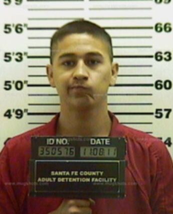 Michael R Martinez