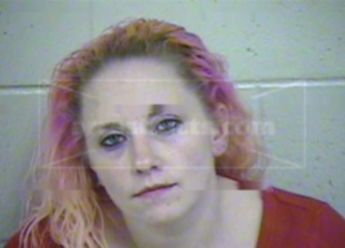 Elizabeth Lynn Elledge