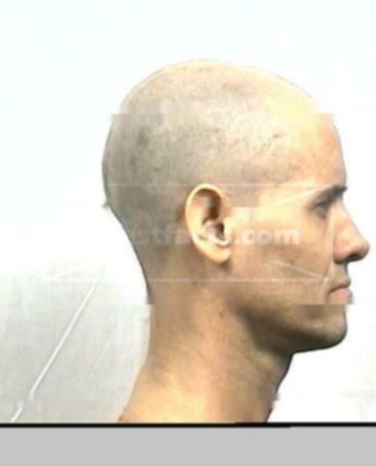 Wesley D Free