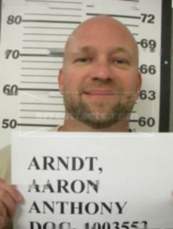Aaron A Arndt