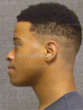 Lavon K Bryson
