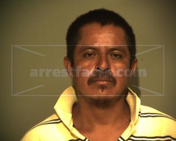 Nicolas Hernandez Flores
