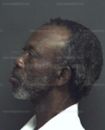 James Lewis Fountain Jr