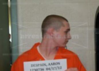Aaron M Despain