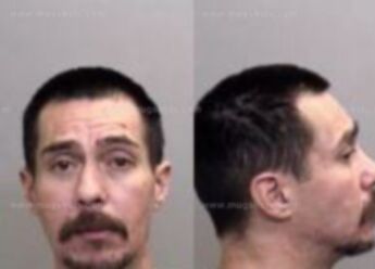 David Milton Peterson