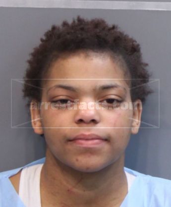 Erica Renee Foster
