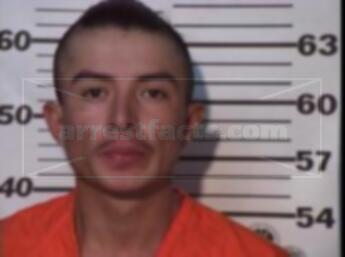 Hector Manuel Alaniz Barrios