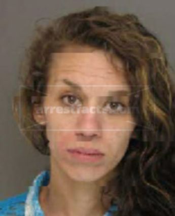 Sandra Nicole Steele