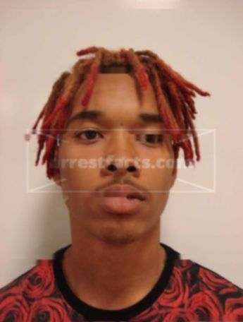 Darius Durand Louis