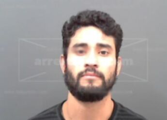 Luis Medina-Carrillo