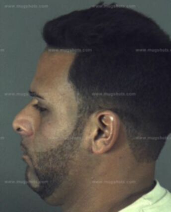 Nelson Rafael Castillo