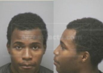 Brandi Leon Johnson